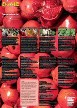 Manifesto 4 - Citt&agrave; di Mendrisio