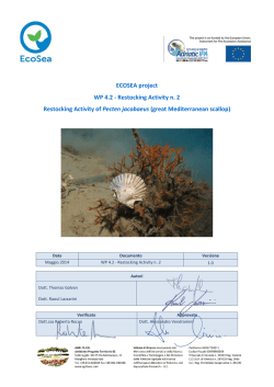 Restocking Activity of Pecten jacobaeus