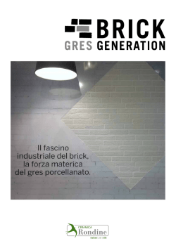 Brick Generation