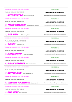 3) TOP SPIN 8) GIOSTRA APOLLO2000 Ditta: zena roberto