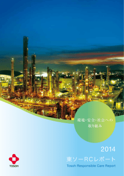 RCレポート2014