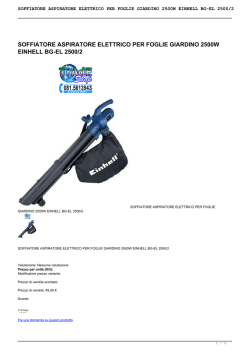 soffiatore aspiratore elettrico per foglie giardino