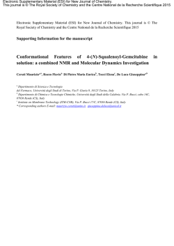 Conformational Features of 4-(N)-Squalenoyl