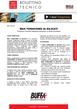 MAX TONACHINO AI SILICATI