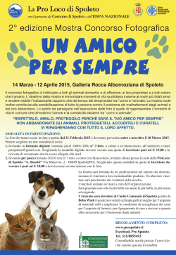 14 Marzo - 12 Aprile 2015, Galleria Rocca