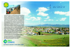 L`opuscolo dell`Associazione. - Il nuovo portale delle associazioni