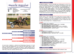 muscle massive