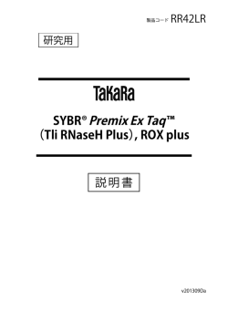 SYBR&reg; Premix Ex Taq &trade; （Tli RNaseH Plus）