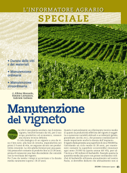 Manutenzione del vigneto