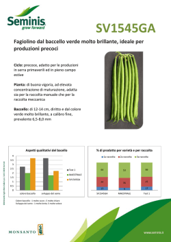 SV1545GA - Seminis