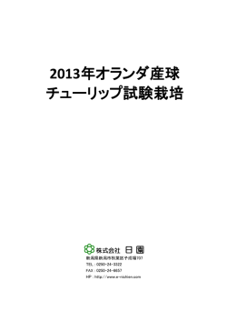 2013年オランダ産球 チューリップ試験栽培