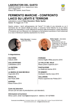 fermento marche - confronto laico su lieviti e terroir