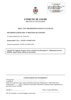 DSG-00233-2015-doc-frontespizio