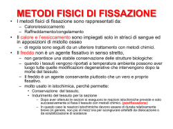 metodi fisici di fissazione - Morfologia umana e biologia applicata