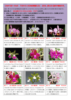 2月 23 日まで有効です。