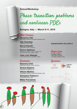 Poster  - Phase transition problems and nonlinear PDEs