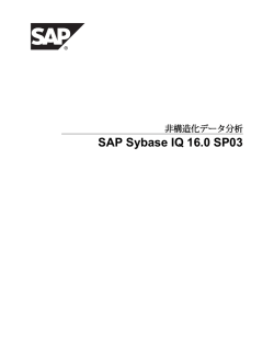 SAP Sybase IQ 16.0 SP03