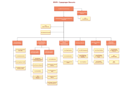 Struttura Organizzativa