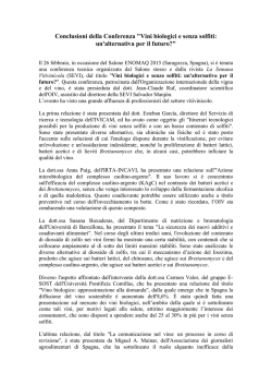 Conclusions de la Conférence "Vins BIO et sans sulfites, une