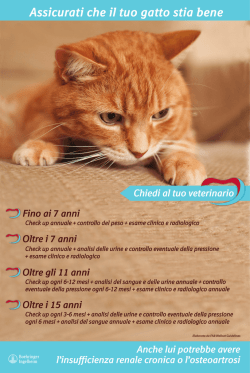 Assicurati che il tuo gatto stia bene