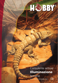 Guida / Consulente settore Illuminazione terrario