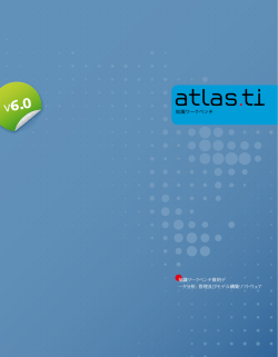 知識ワークベンチ質的デ ータ分析、管理及びモデル構築