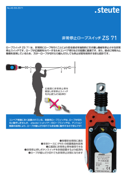ZS71 カタログ(PDF 1.2MB)