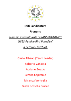 Esiti Candidature Progetto scambio interculturale