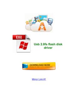 Usb 2.0fs flash disk driver