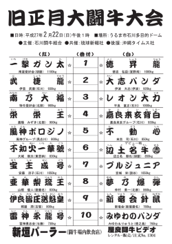 旧正月大闘牛大会 - 闘牛ビデオ販売、沖縄