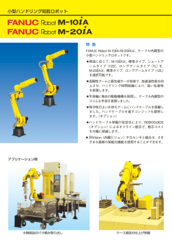 FANUC Robot M-10iA/M-20iA