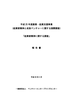 起業家精神に関する調査（平成25年度）（PDF形式：1237KB）