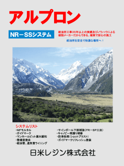 日米レジン株式会社