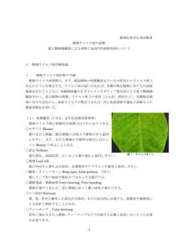 電子顕微鏡（1）