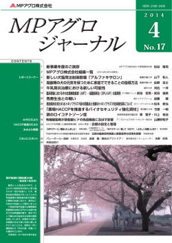 pdfファイル（13.7MB）