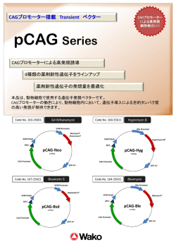 pCAGベクター