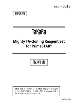 Mighty TA-cloning Reagent Set for PrimeSTAR