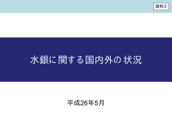 水銀に関する国内外の状況