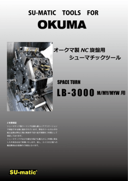 LB-3000