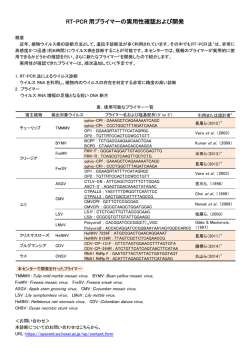 RT-PCR 用プライマーの実用性確認および開発