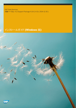 インストールガイド (Windows 版)