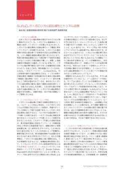 Sr2RuO4 のトポロジカル超伝導性とトンネル効果