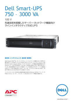 UPS100Vカタログ