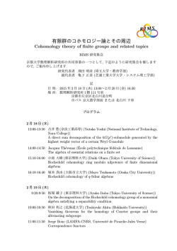 有限群のコホモロジー論とその周辺