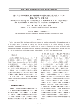 固体高分子形燃料電池の触媒層のPt削減と耐久性向上のための 開発の