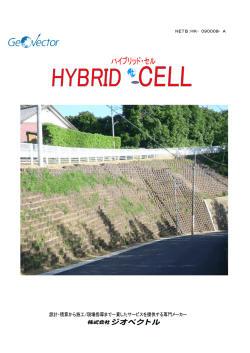 ハイブリッド・セル（HYBRID CELL） カタログ