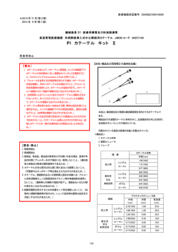 PI カテーテル キット Ⅱ
