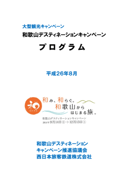 わかやまDCプログラムのご紹介（PDF）