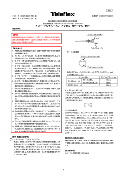 PDFファイル
