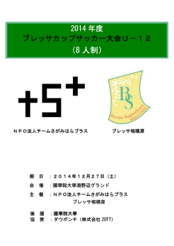 （8 人制） - ブレッサ相模原